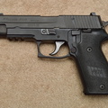 P220 Profile 2