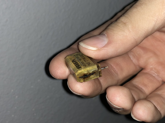 Line Filter Capacitor "Gave up the ghost"